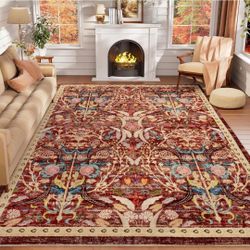 8 x 10 Area rug