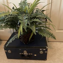 Greenery On Trunk Or Table $45