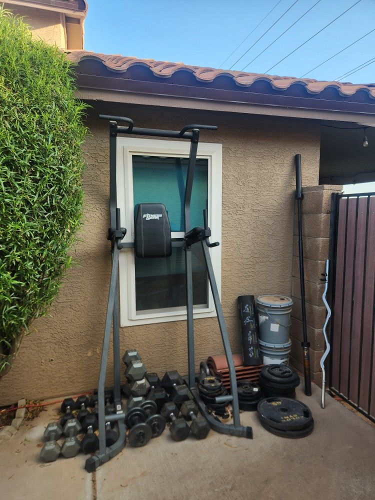 Weights and Bench
