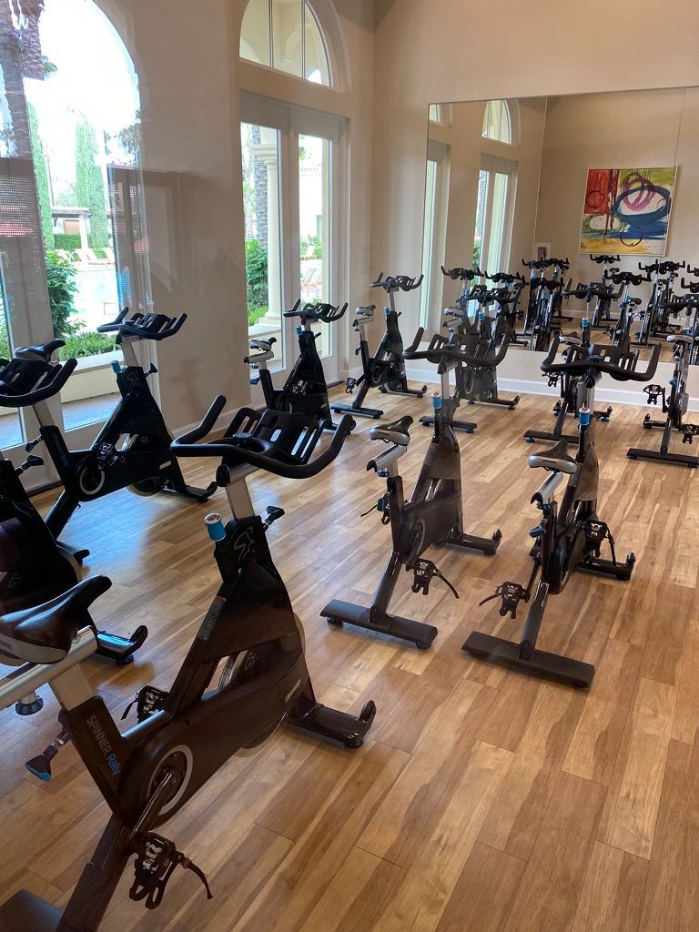 Precor Rally Spin Bike (Delivery Included) Precor Rally Spin Bike (Delivery Included)