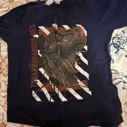 One dinosaur and minecraft tee shirt