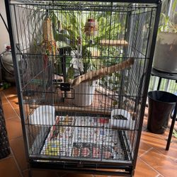 Bird Cage /jaula De Pajaros 