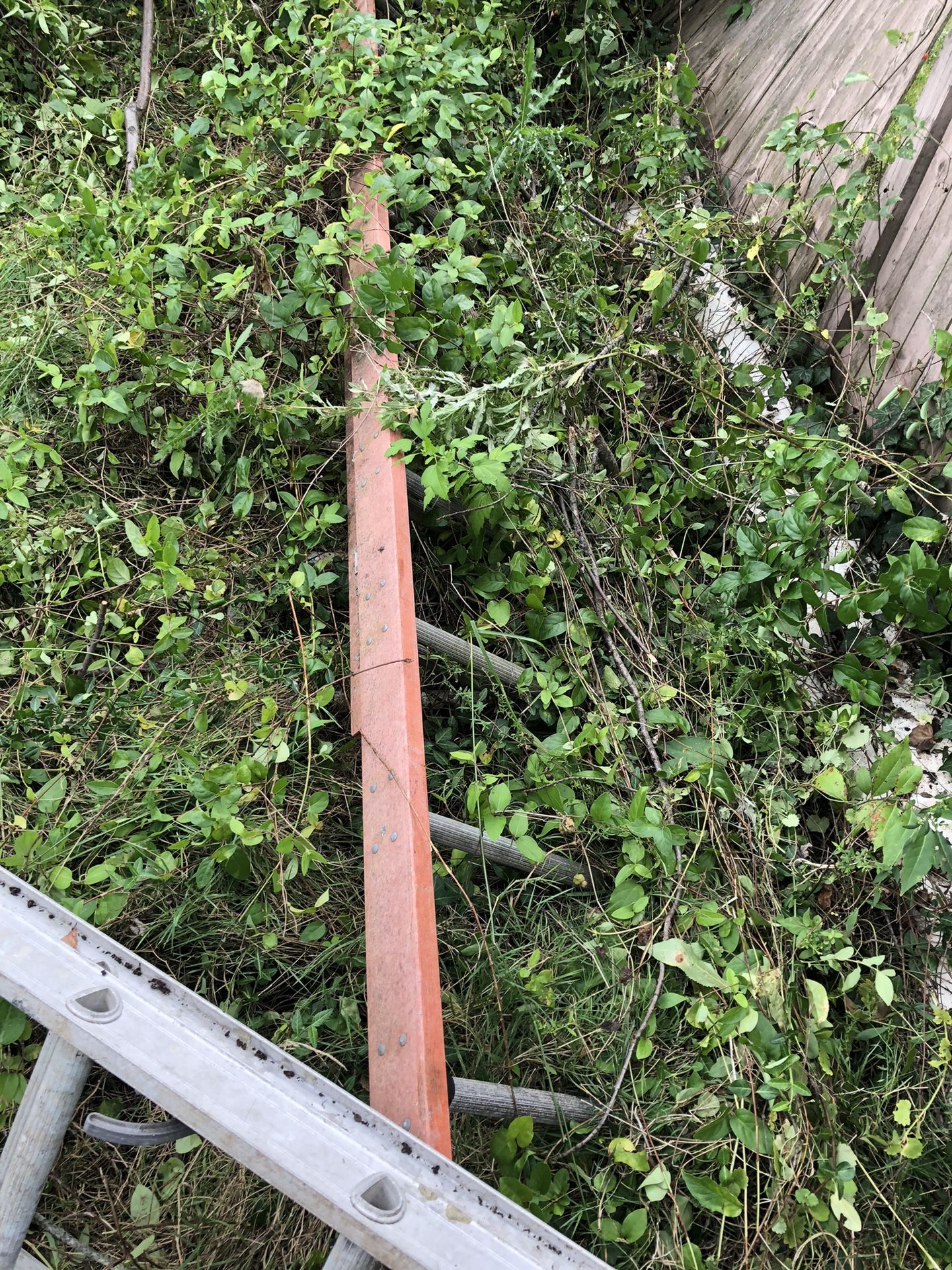 Roof Ladders
