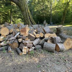 Free Fire Wood!!!🪵 