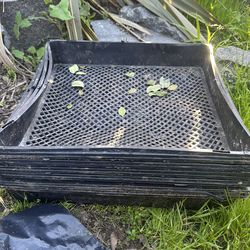 12 nursery flats for $5