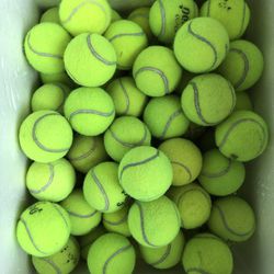 Tennis Balls 60 used Excellent For Practice Or Dog Toys 