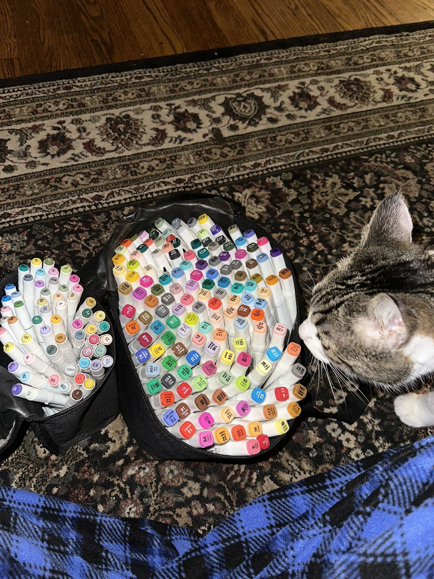 300+ Markers For Artists