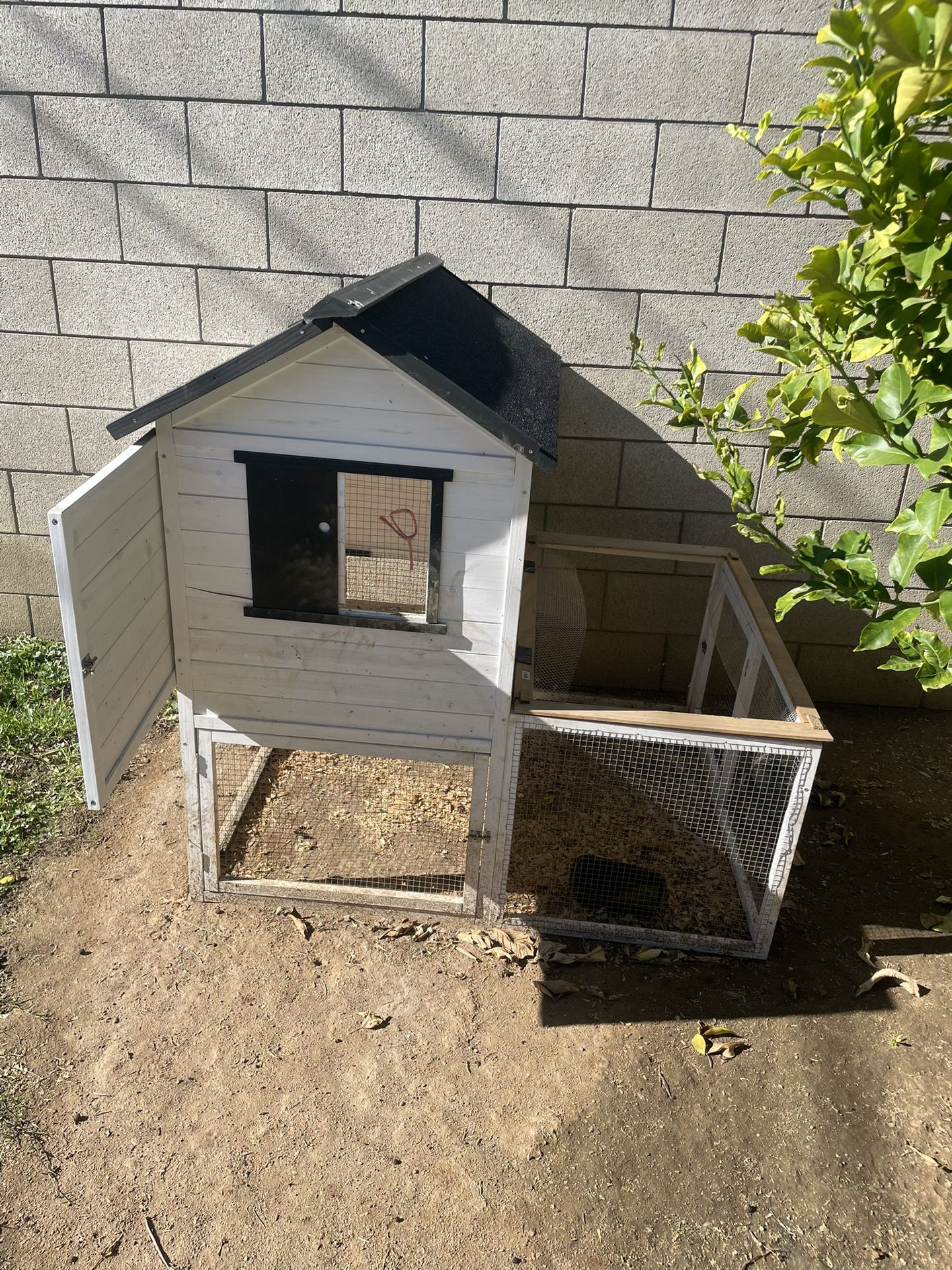 Chicken Coop