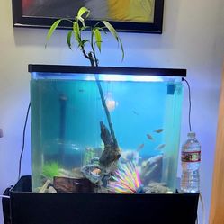 20 Gal Aquarium 