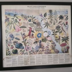 Plant Hallucinations Poster