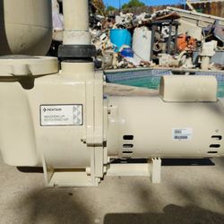 Whisperflow Pool Pump And Motor