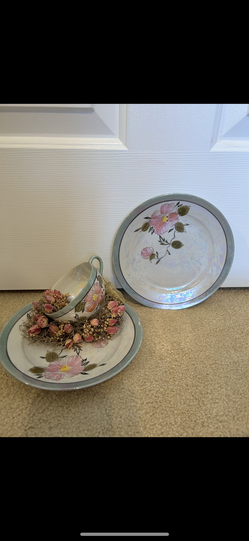 Hand Painted cup and plates