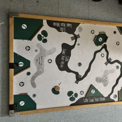 Carrom Board 