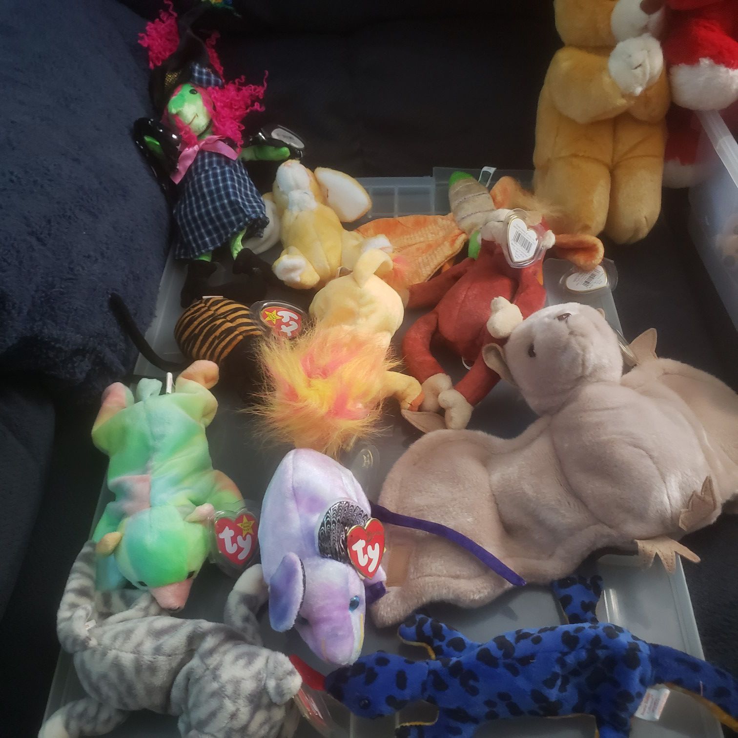Over 30 small and large beanie babies