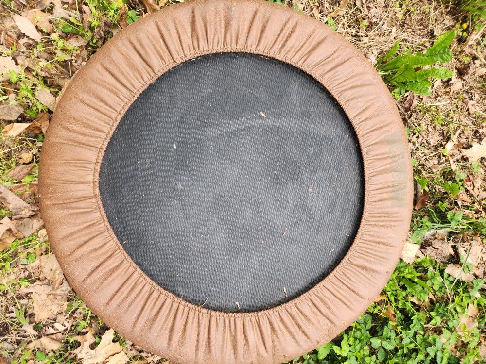 Schwinn Trampoline