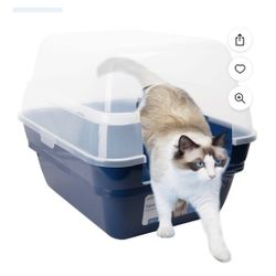 Cat Litter Box