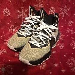 Nike LeBron 19 basketball shoes