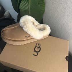 UGG Slippers
