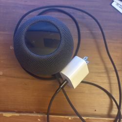 Apple HomePod Mini