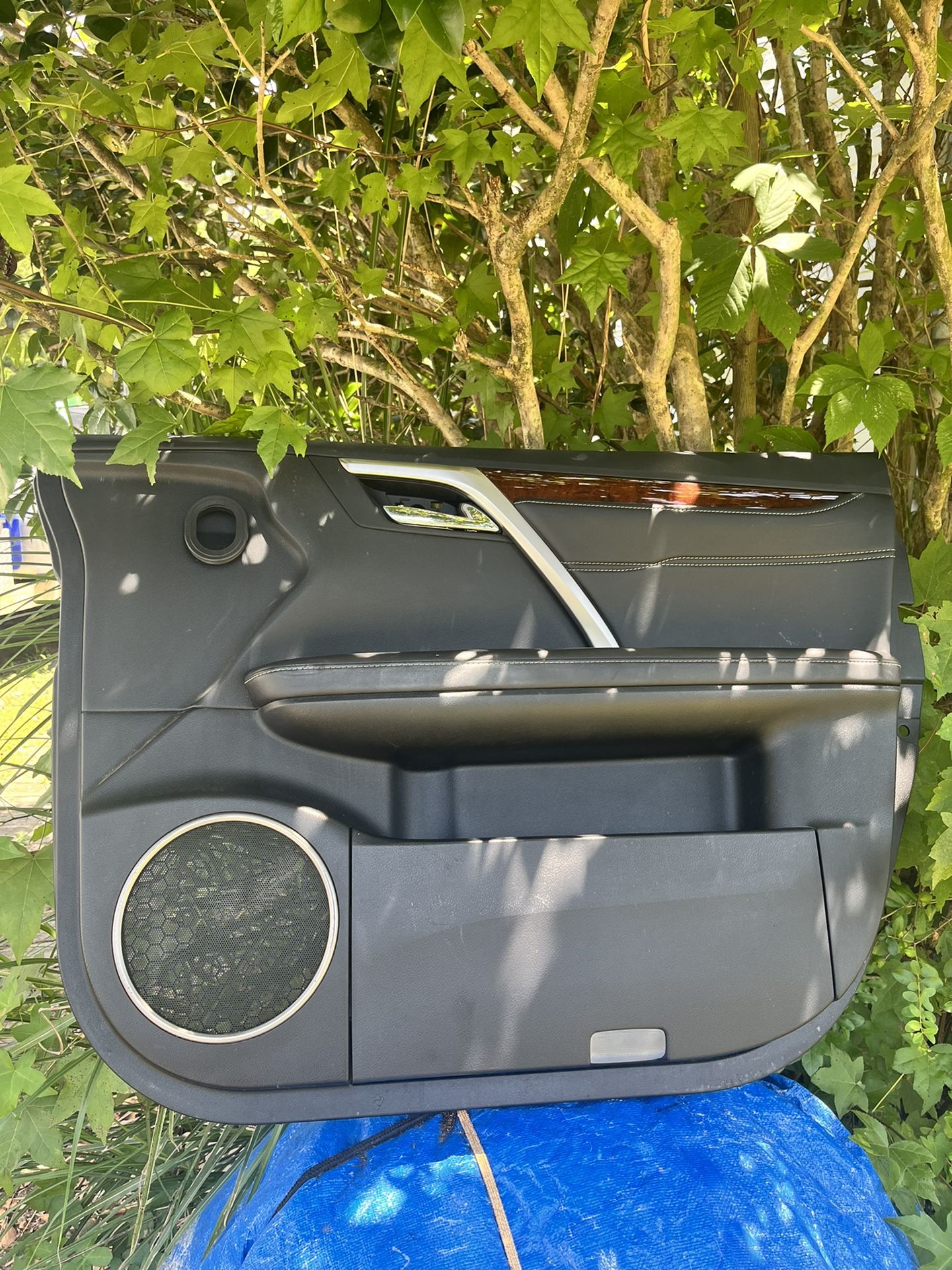RX 350 Door Panel