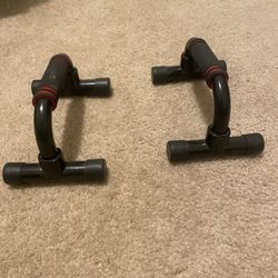 Workout Parrolette