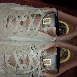 National Geographic Reebok's Size 11