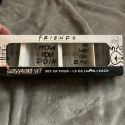 Friends Shot Glasses Never Used