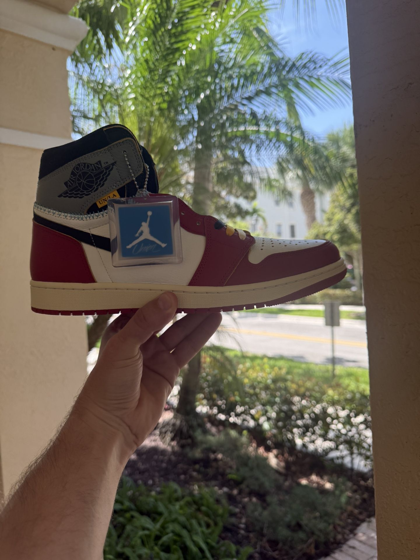 Union Jordan 1 Chicago Shadow