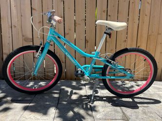 Guardian ETHOS 20” Small Bike Aqua Pink