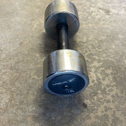 Single 15 Pound Dumbbell 