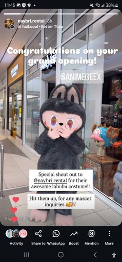 Secret Labubu Mascot Costume For Sale