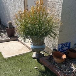 Large Fire stick W/ Pot