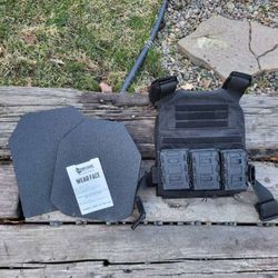 Plate Carrier with Plates