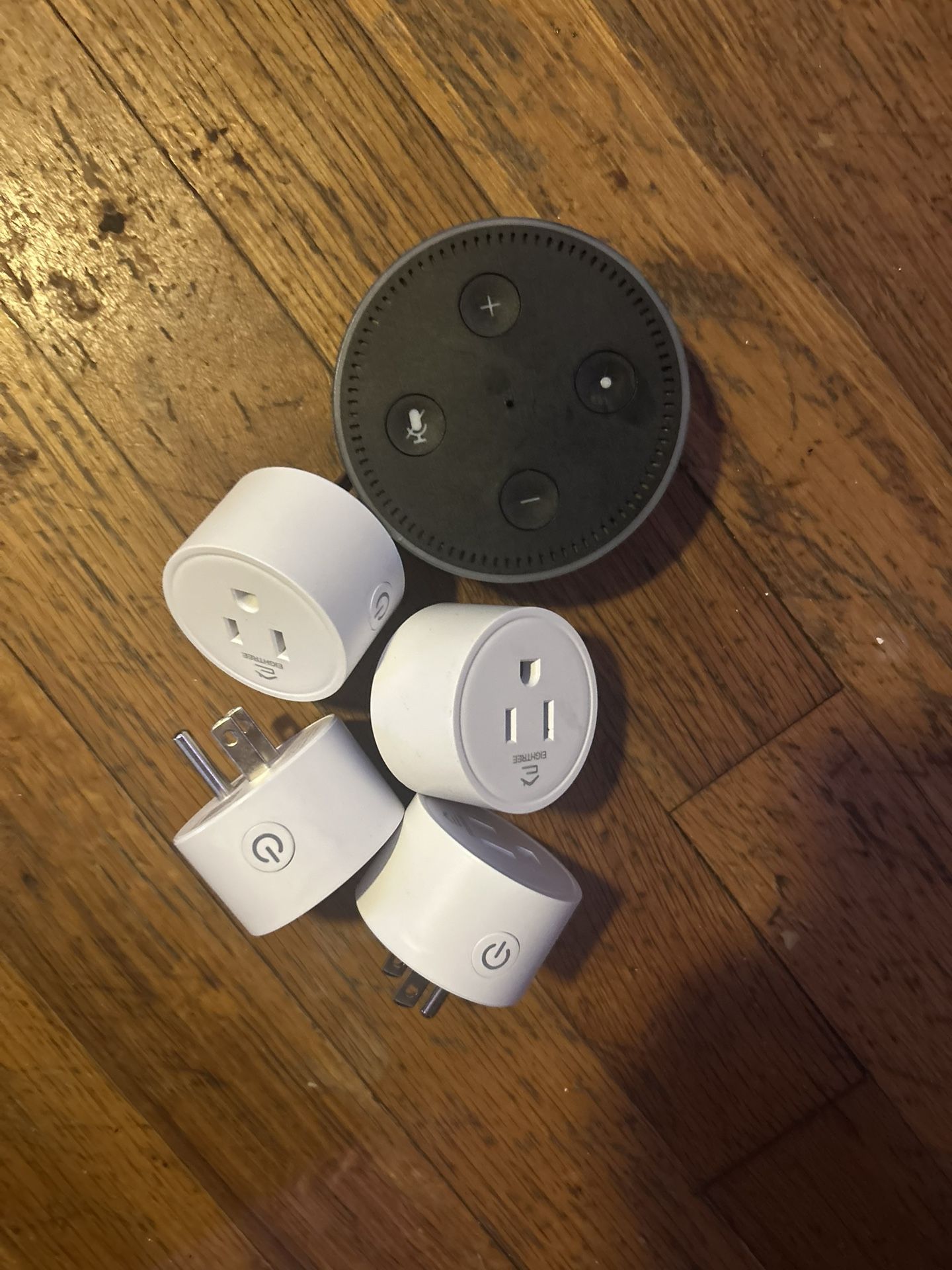 Wired Alexa With Alexa Plugs (4)