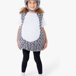Owl Costume 4t 