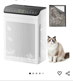 Air Purifiers for Home Large Room