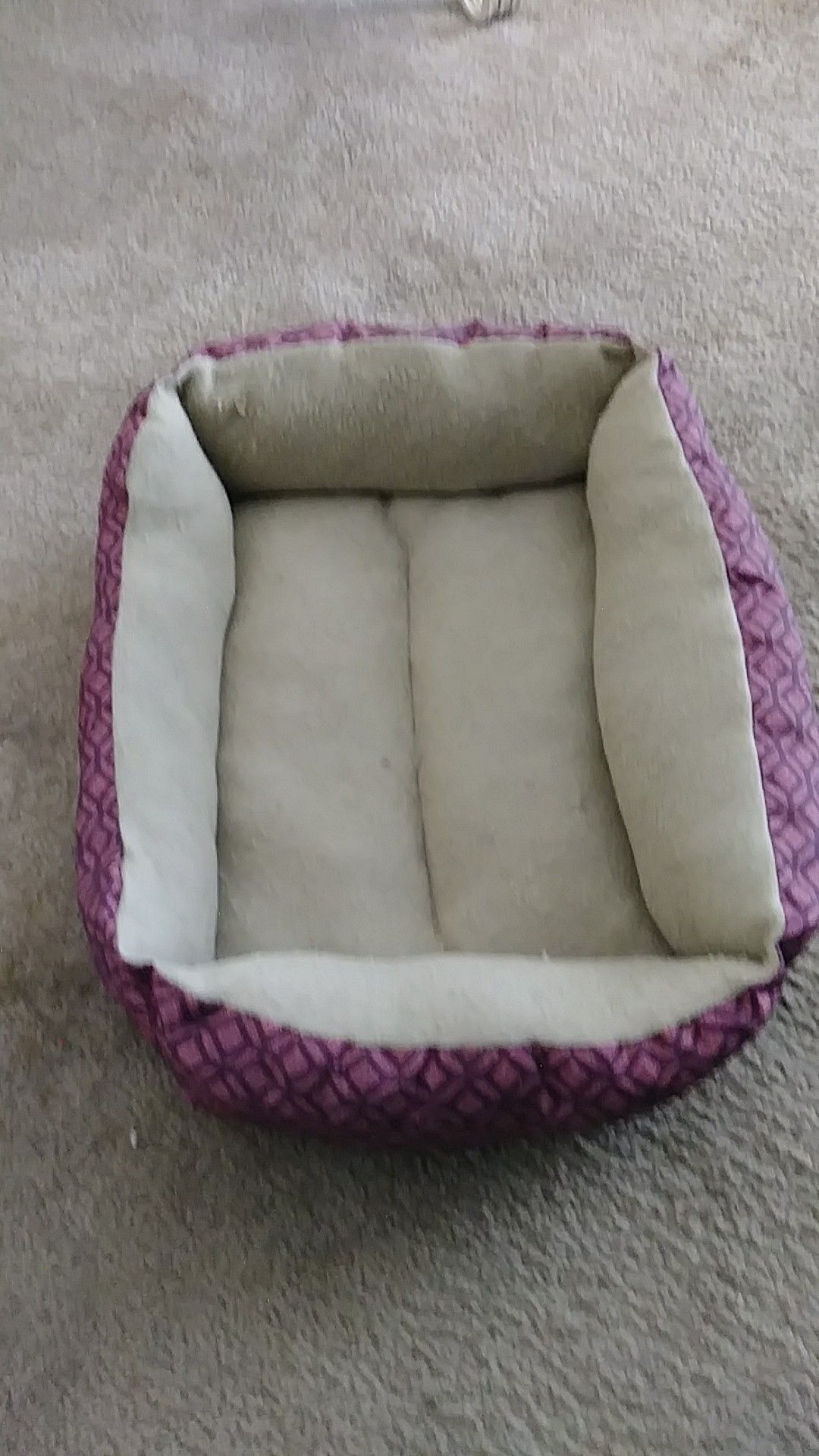 Kitty bed