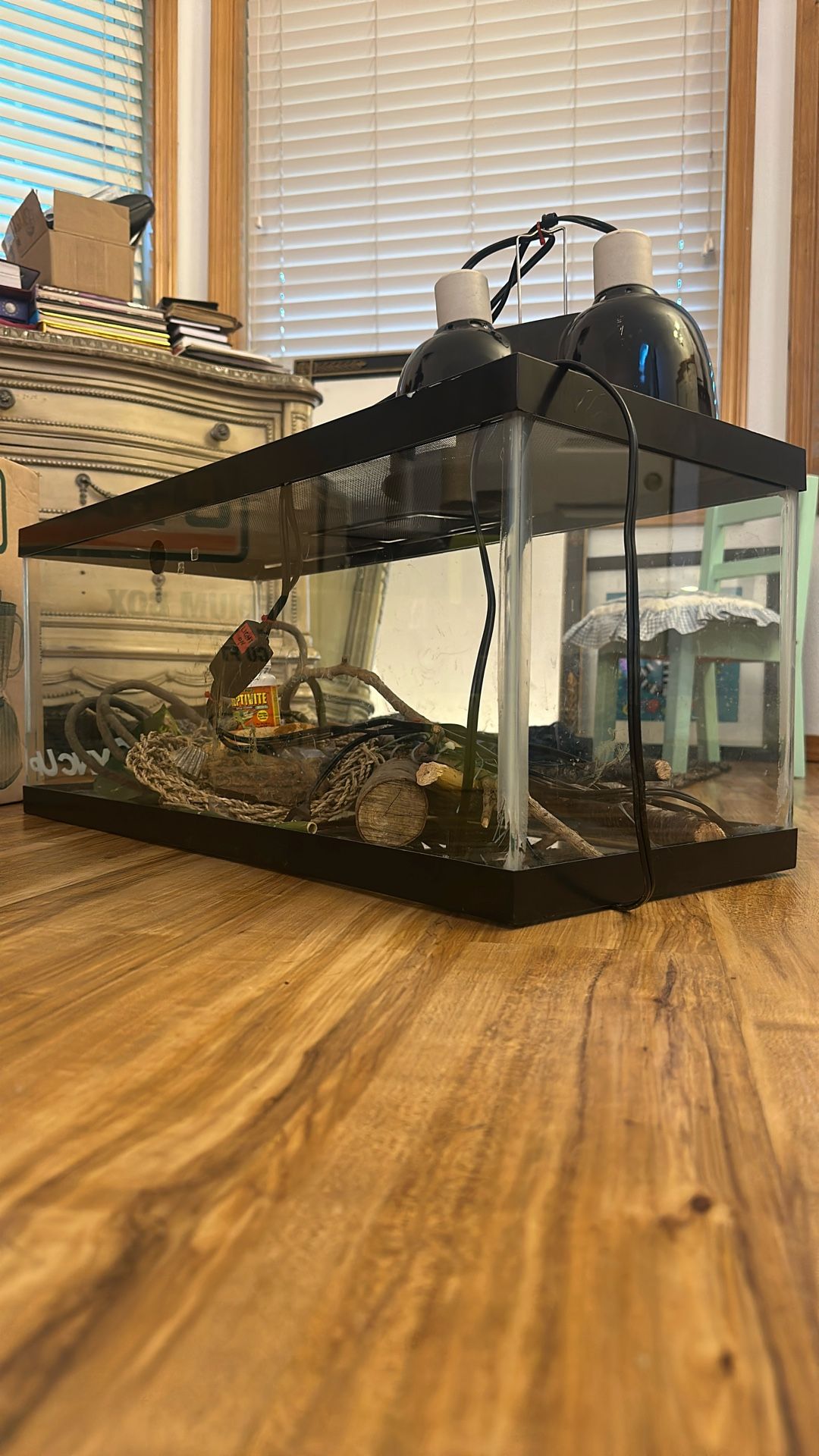 Reptile Enclosure