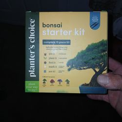 Bonsai 4 Plant Starter Kit