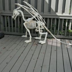 Hallowing skeleton dragon 🐉 skeleton dog 
