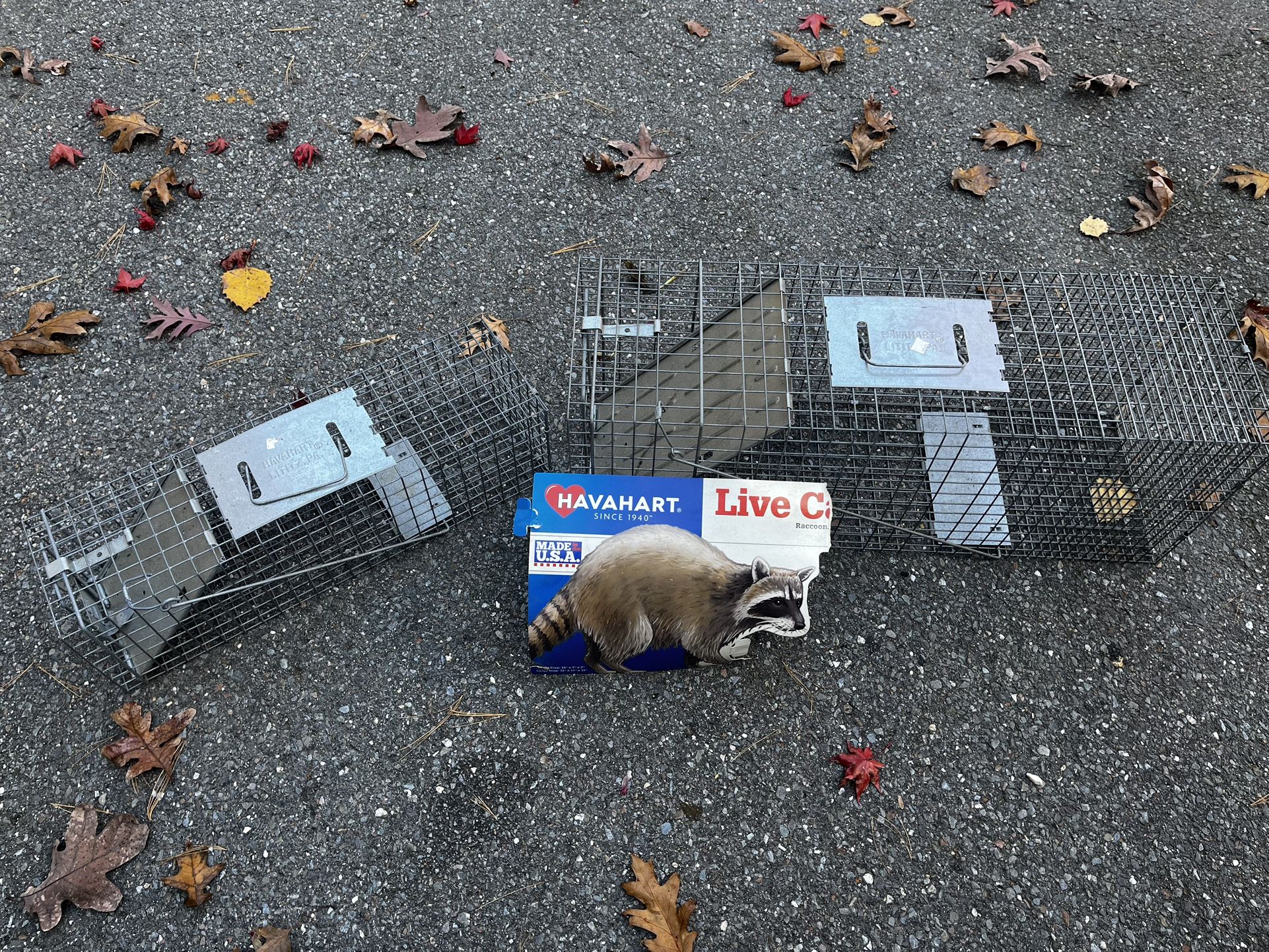 Two HaveAHeart Animal Traps