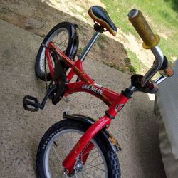 16 Inch Kids Schwinn Bicycle