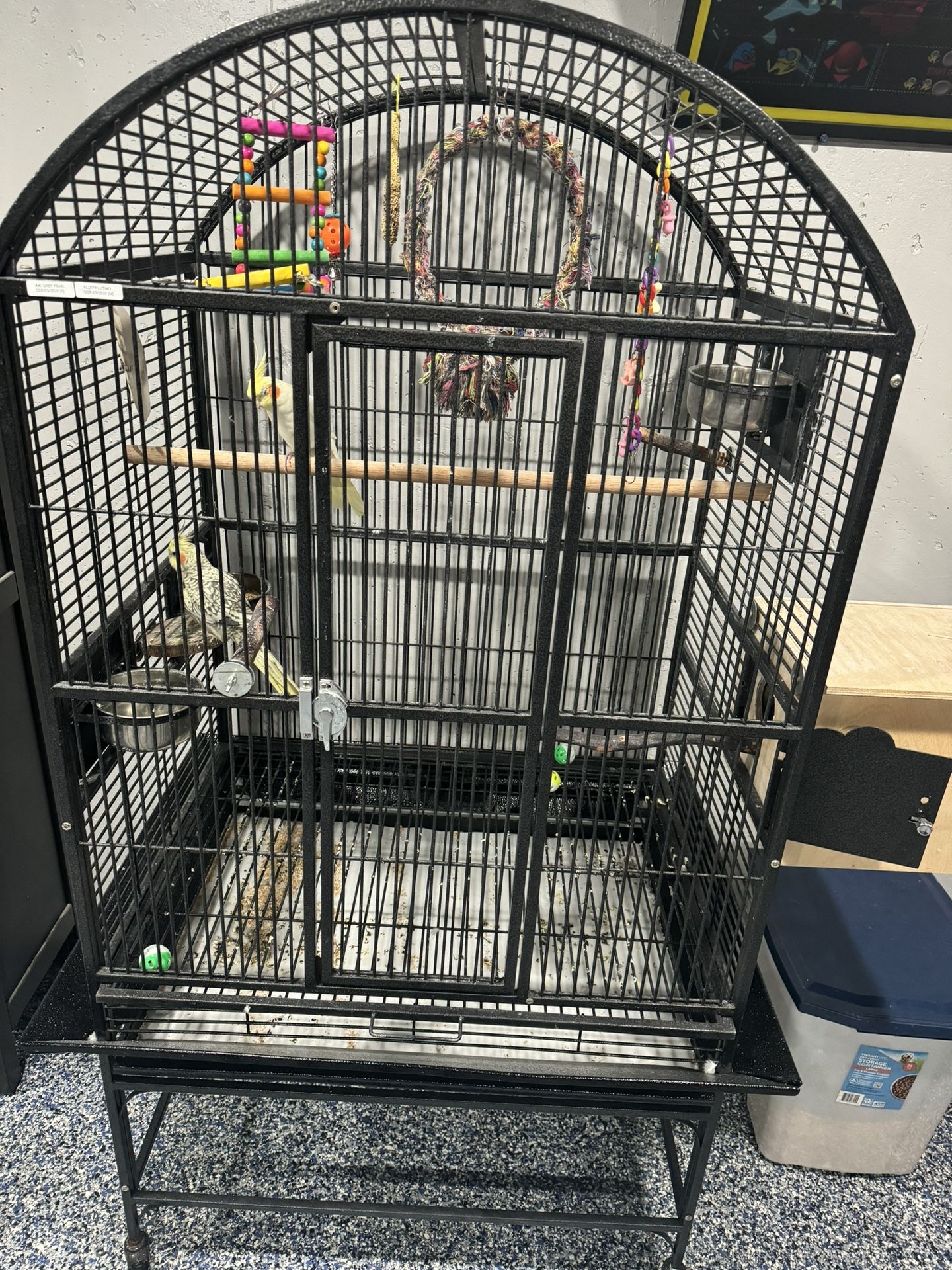 BIRD CAGE