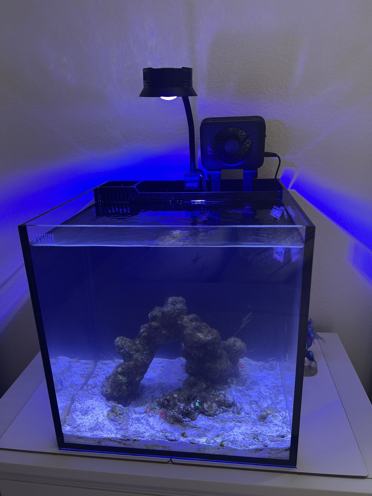 Nano Fish Tank