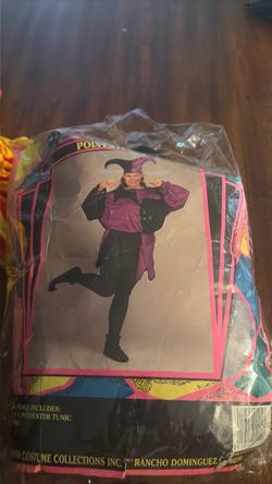 Jester costume
