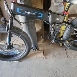 Electric Bike 