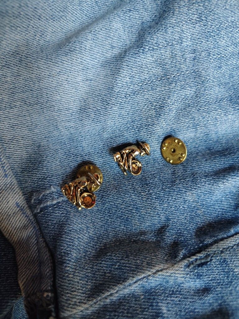 Cufflinks/Hat Pin