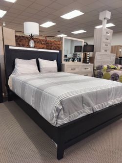 Queen Size Bed 