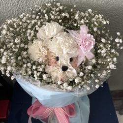 🌸🐶carnation Puppy🌸🎀