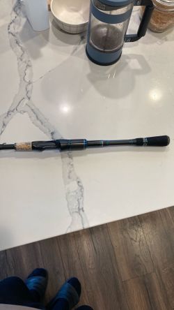 CADENCE spinning rod